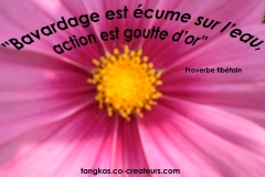 Proverbe 13 petit