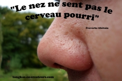 Proverbe 16 petit