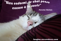 Proverbe 19 petit