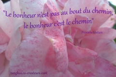 Proverbe 20 petit