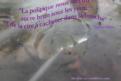 Proverbe 22 petit