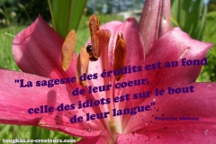Proverbe 23 petit