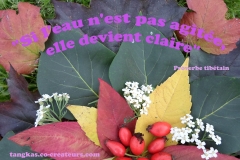 Proverbe 31 petit