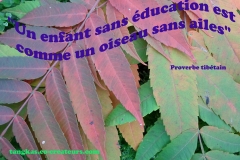Proverbe 32 petit