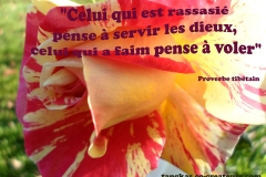 Proverbe 33 petit