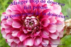 Proverbe 35 petit
