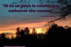 Proverbe 36 petit