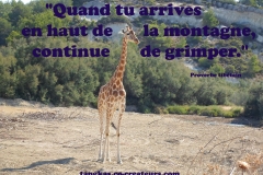 Proverbe 45 petit