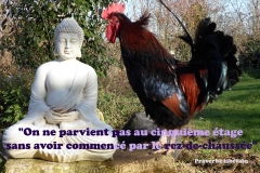 Proverbe 46 petit