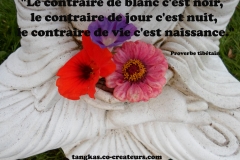Proverbe 51 petit