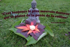 Proverbe 52 petit