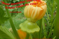 Proverbe 53 petit