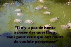 Proverbe 55 petit