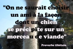 Proverbe 57 petit