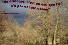proverbe 18 petit